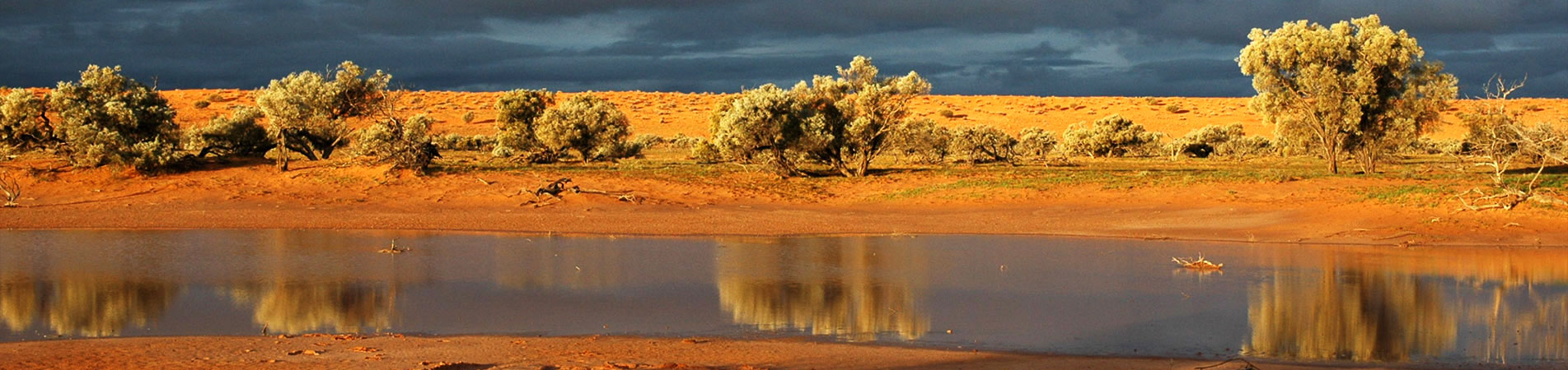 Dune in the Simpson Desert